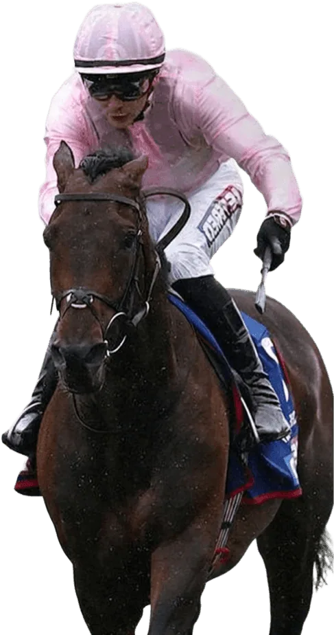 You Spindle Me Rightround Baby Rightround Handicap Hurdle Race feature image