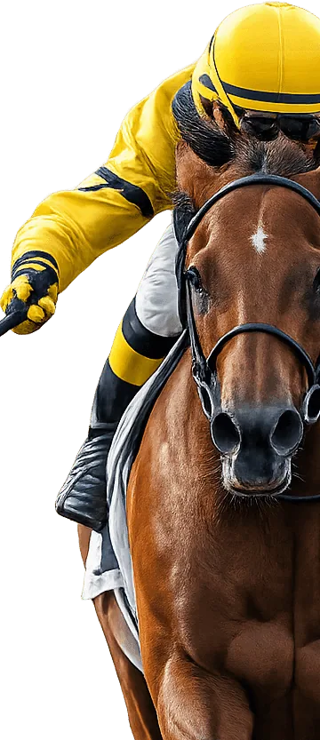 Daily Racing Tips