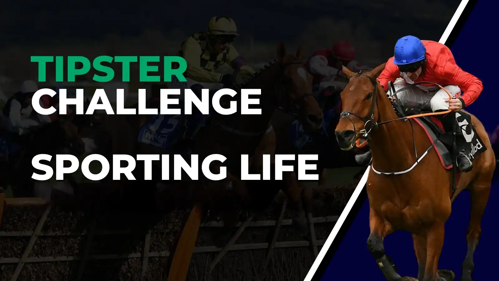 Tipster Challenge: Betting.Bet v Sporting Life - City Of Troy's Derby Glory Not Enough For Our Tipsters